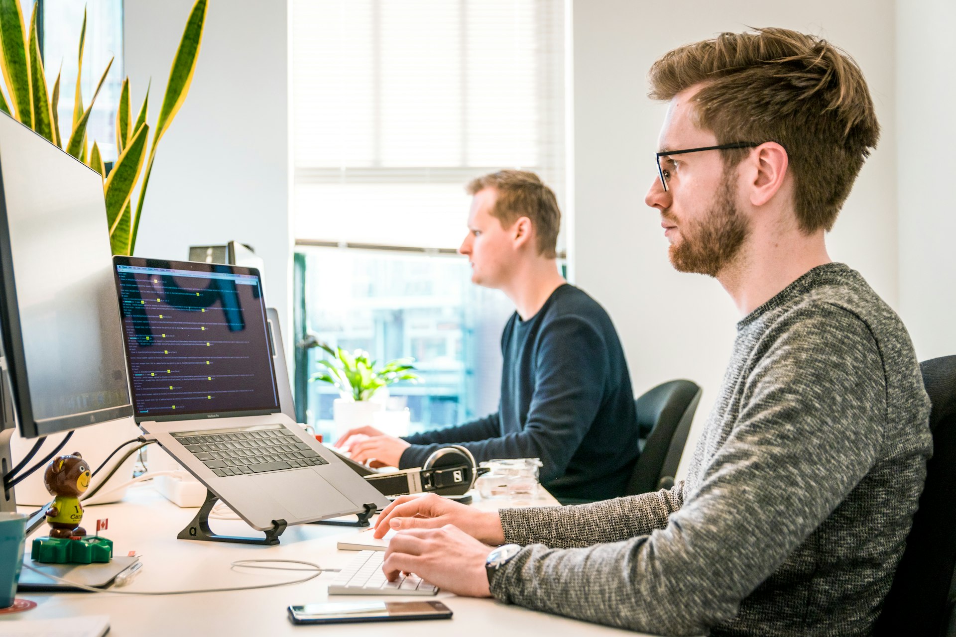 Webinar organization